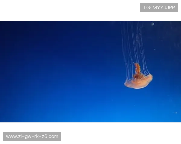 星空体育网页版登录入口：最新登录地址及使用指南